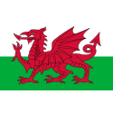 Wales logo