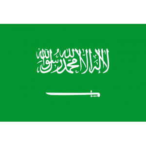 Saudijska Arabija logo